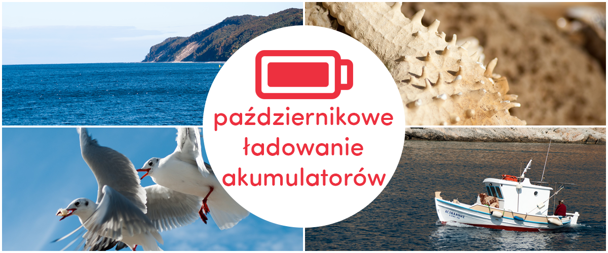 endorfinsowy wypoczynek nad dwoma morzami